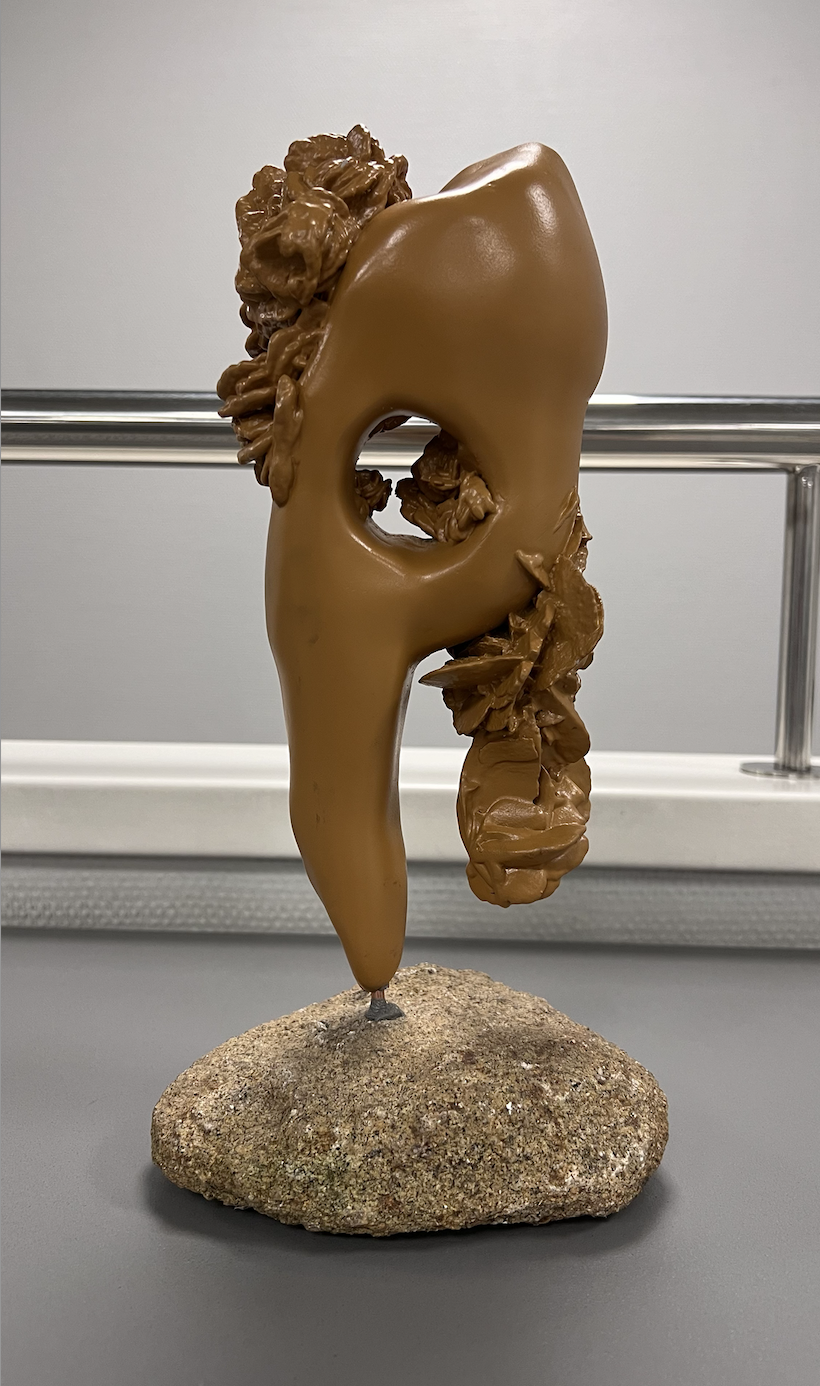 Dent amb Rosa del Desert